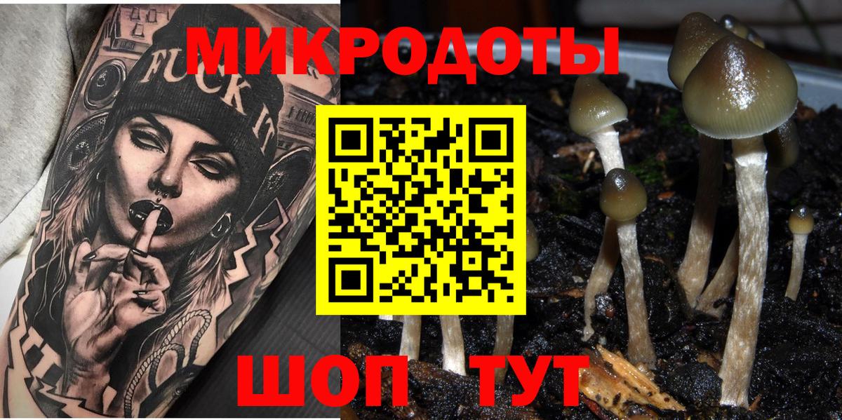Галлюциногенные грибы GOLDEN TEACHER Минусинск